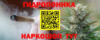 apvp Краснознаменск