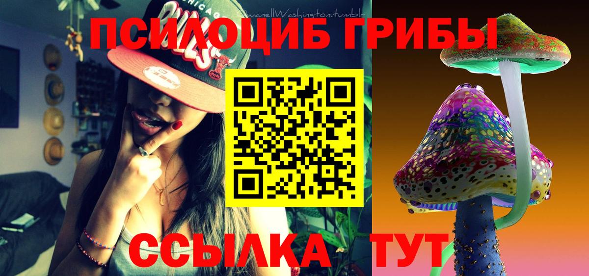 Кстово  Галлюциногенные грибы MAGIC MUSHROOMS  Вход с VPN 